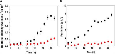 Biooxidation of Iron by Acidithiobacillus ferrooxidans in the Presence of D-Galactose: Understanding Its Influence on the Production of EPS and Cell Tolerance to High Concentrations of Iron